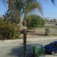 Апартаменты на Кипре, Ларнака, Никосия, 78 кв.м.