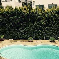 Villa in Republic of Cyprus, Lemesou, Nicosia, 303 sq.m.