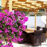 Villa in Republic of Cyprus, Eparchia Pafou, Nicosia, 265 sq.m.