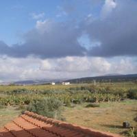 Вилла на Кипре, Пафос, Никосия, 300 кв.м.