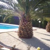 Villa in Republic of Cyprus, Eparchia Pafou, Nicosia, 150 sq.m.