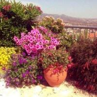 Вилла на Кипре, Пафос, Никосия, 230 кв.м.