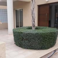 House in Republic of Cyprus, Lemesou, Nicosia, 230 sq.m.