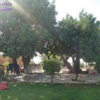 Apartment in Republic of Cyprus, Lemesou, Nicosia, 400 sq.m.