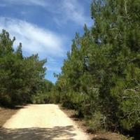 Villa in Republic of Cyprus, Eparchia Pafou, Nicosia, 200 sq.m.