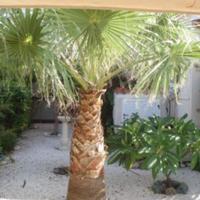 Villa in Republic of Cyprus, Eparchia Pafou, Nicosia, 190 sq.m.