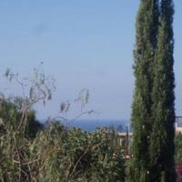 Апартаменты на Кипре, Пафос, Никосия, 42 кв.м.