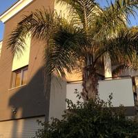 Вилла на Кипре, Лимасол, Никосия, 430 кв.м.