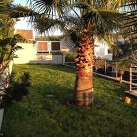 Вилла на Кипре, Лимасол, Никосия, 430 кв.м.