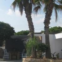 Вилла на Кипре, Лимасол, Никосия, 475 кв.м.