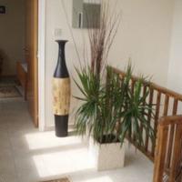 Вилла на Кипре, Пафос, Никосия, 120 кв.м.