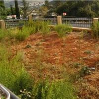 Дом на Кипре, Лимасол, Никосия, 118 кв.м.