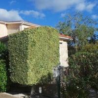 Villa in Republic of Cyprus, Eparchia Pafou, Nicosia, 218 sq.m.