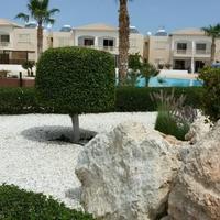 Apartment in Republic of Cyprus, Lemesou, Nicosia, 80 sq.m.