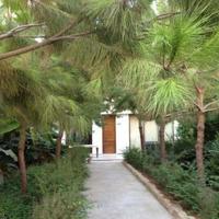 Villa in Republic of Cyprus, Lemesou, Nicosia, 750 sq.m.