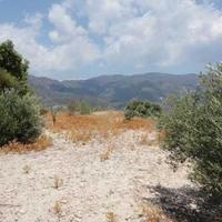 Land plot in Republic of Cyprus, Lemesou, Nicosia