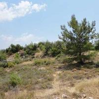 Land plot in Republic of Cyprus, Lemesou, Nicosia