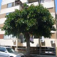 Apartment in Republic of Cyprus, Lemesou, Nicosia, 50 sq.m.