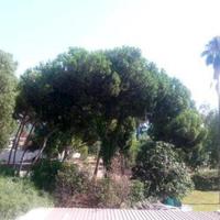 Apartment in Republic of Cyprus, Lemesou, Nicosia, 75 sq.m.