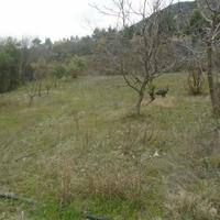 Land plot in Republic of Cyprus, Lemesou, Nicosia