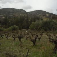 Land plot in Republic of Cyprus, Lemesou, Nicosia