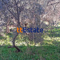 Flat in Montenegro, 41 sq.m.