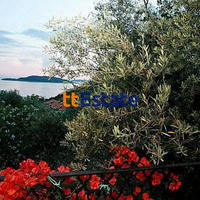 Дом в Черногории, 200 кв.м.