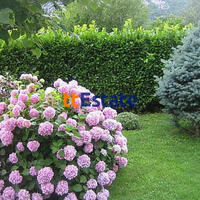 Дом в Черногории, 300 кв.м.