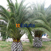 Дом в Черногории, 150 кв.м.