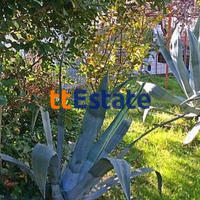 Другая коммерческая недвижимость в Черногории, 350 кв.м.