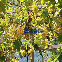 Дом в Черногории, 94 кв.м.