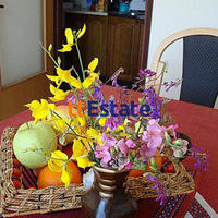 Квартира в Черногории, Будва, 45 кв.м.