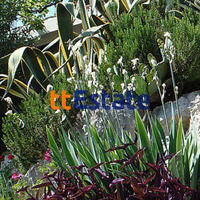 Дом в Черногории, 270 кв.м.