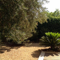 Квартира в Испании, Валенсия, Аликанте, 282 кв.м.