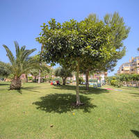 Apartment in Spain, Comunitat Valenciana, Alicante, 75 sq.m.