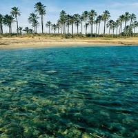 Apartment in Spain, Comunitat Valenciana, Alicante, 82 sq.m.