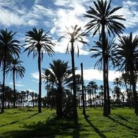 Apartment in Spain, Comunitat Valenciana, Alicante, 82 sq.m.