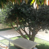 Townhouse in Republic of Cyprus, Lemesou, 180 sq.m.