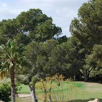 Villa in Spain, Comunitat Valenciana, Alicante, 175 sq.m.