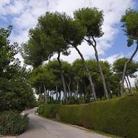 Земельный участок в Испании, Андалусия