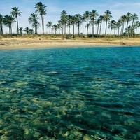 Вилла в Испании, Валенсия, Аликанте, 260 кв.м.