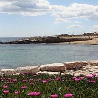 Апартаменты в Испании, Валенсия, Аликанте, 60 кв.м.