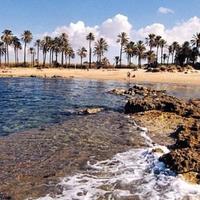 Апартаменты в Испании, Валенсия, Аликанте, 158 кв.м.