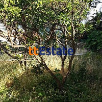 House in Montenegro, 110 sq.m.