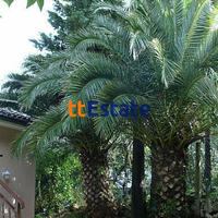 Flat in Montenegro, 55 sq.m.