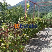 Дом в Черногории, 80 кв.м.