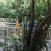 Квартира в Черногории, Котор, 61 кв.м.