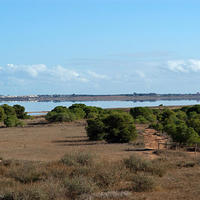 Villa in Spain, Comunitat Valenciana, Alicante, 172 sq.m.