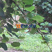 Дом в Черногории, 134 кв.м.