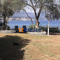 House in Montenegro, 300 sq.m.